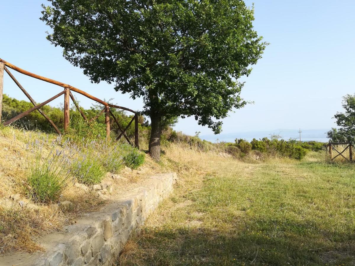 La Casa Gialla Belvedere Cortona Exterior foto